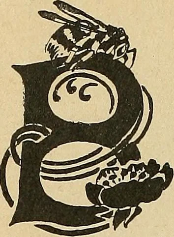An illustration from Éléments de composition décorative; cent thêmes de décoration plane, 1912, leaf 177