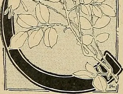 An illustration from Éléments de composition décorative; cent thêmes de décoration plane, 1912, leaf 179