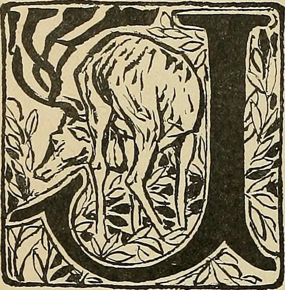 An illustration from Éléments de composition décorative; cent thêmes de décoration plane, 1912, leaf 183