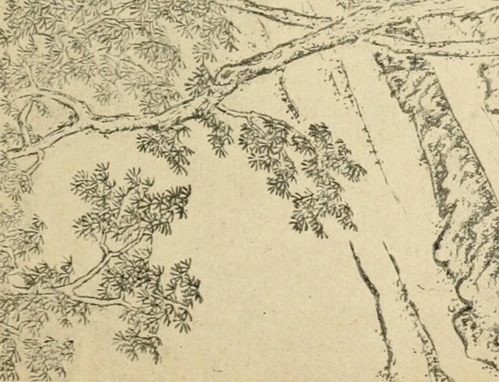 An illustration from Éléments de composition décorative; cent thêmes de décoration plane, 1912, leaf 250