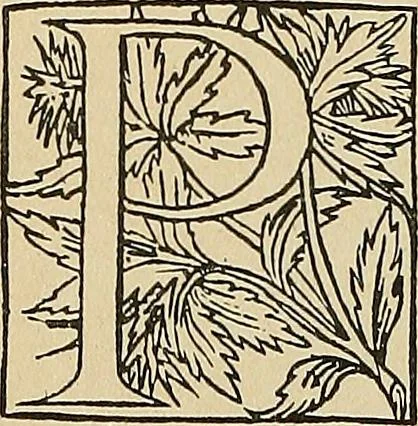 An illustration from Éléments de composition décorative; cent thêmes de décoration plane, 1912, leaf 255