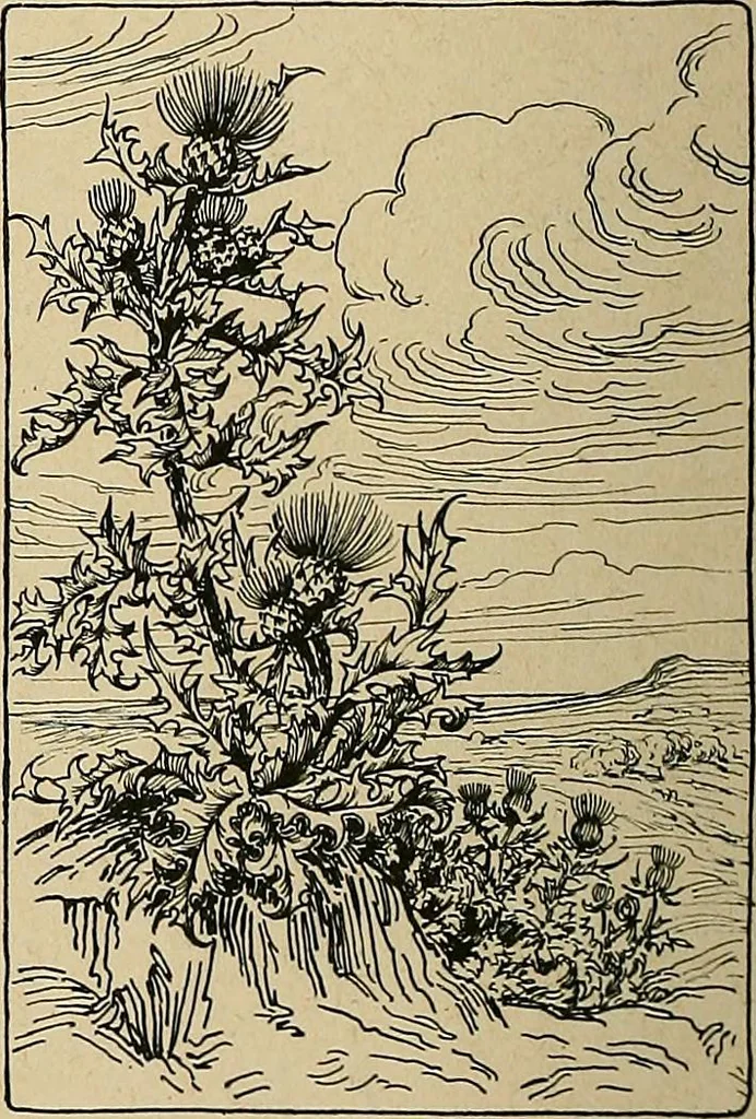An illustration from Éléments de composition décorative; cent thêmes de décoration plane, 1912, leaf 255