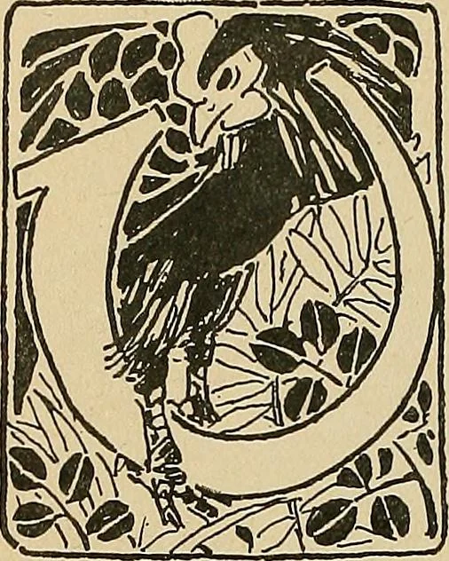 An illustration from Éléments de composition décorative; cent thêmes de décoration plane, 1912, leaf 259
