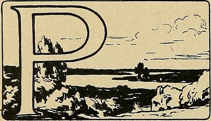 An illustration from Éléments de composition décorative; cent thêmes de décoration plane, 1912, leaf 267