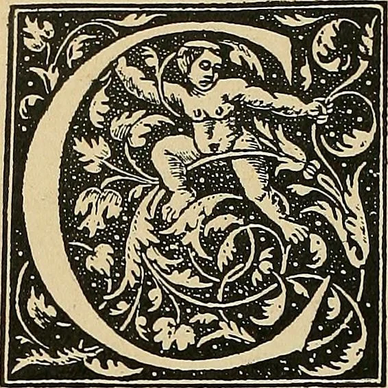 An illustration from Éléments de composition décorative; cent thêmes de décoration plane, 1912, leaf 269