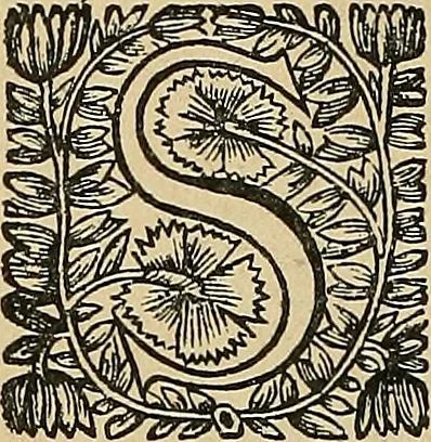 An illustration from Éléments de composition décorative; cent thêmes de décoration plane, 1912, leaf 271