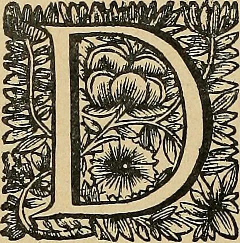 An illustration from Éléments de composition décorative; cent thêmes de décoration plane, 1912, leaf 293