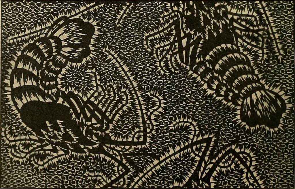 An illustration from Éléments de composition décorative; cent thêmes de décoration plane, 1912, leaf 295