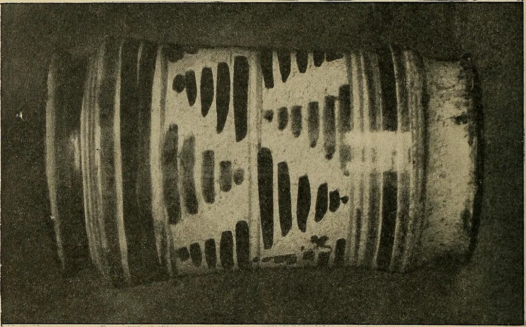 An illustration from Éléments de composition décorative; cent thêmes de décoration plane, 1912, leaf 301