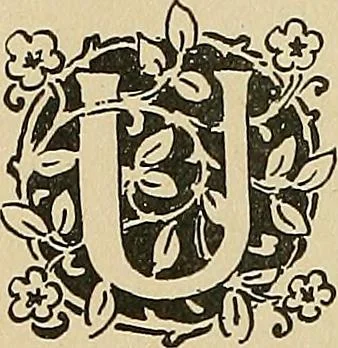 An illustration from Éléments de composition décorative; cent thêmes de décoration plane, 1912, leaf 31