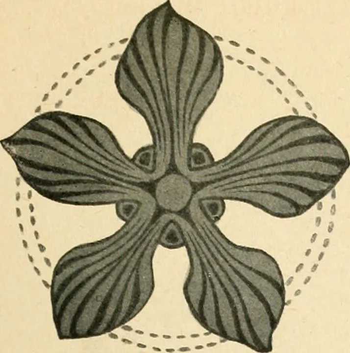 An illustration from Éléments de composition décorative; cent thêmes de décoration plane, 1912, leaf 42