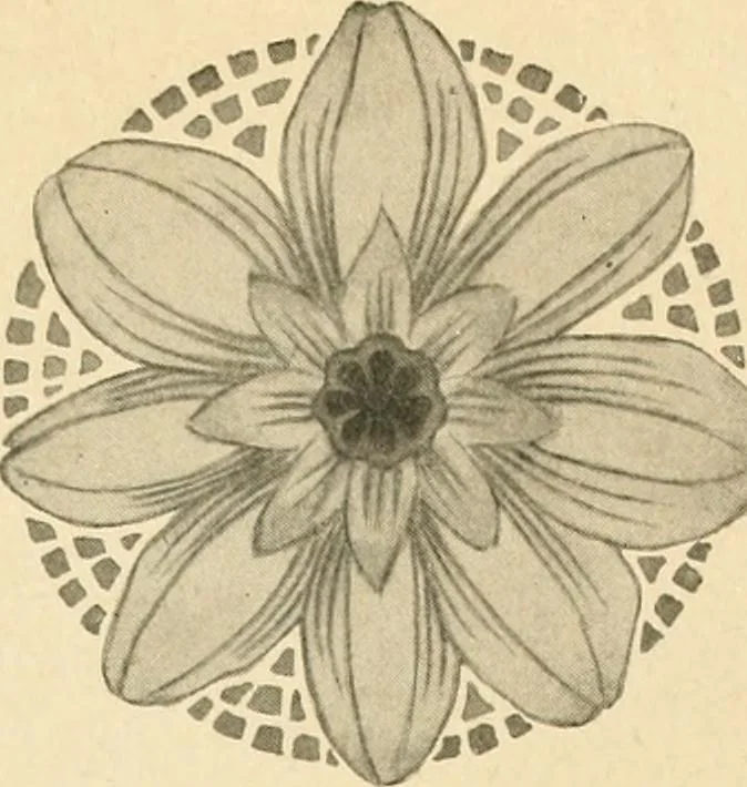 An illustration from Éléments de composition décorative; cent thêmes de décoration plane, 1912, leaf 42