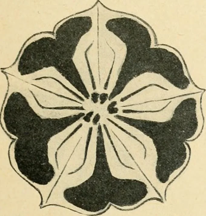 An illustration from Éléments de composition décorative; cent thêmes de décoration plane, 1912, leaf 42