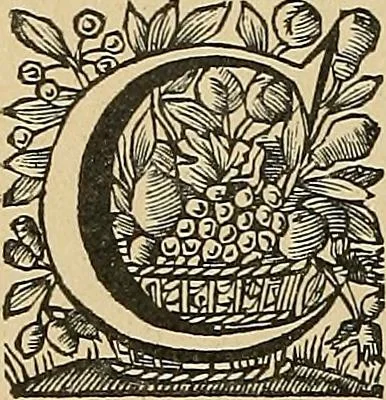 An illustration from Éléments de composition décorative; cent thêmes de décoration plane, 1912, leaf 51
