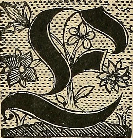 An illustration from Éléments de composition décorative; cent thêmes de décoration plane, 1912, leaf 63