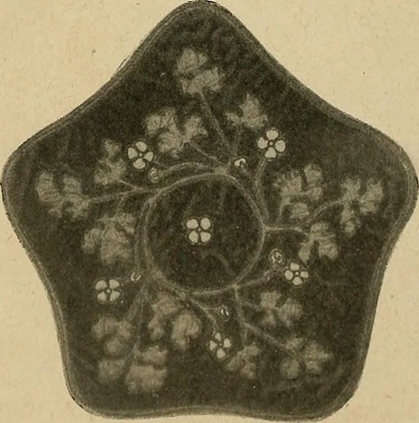 An illustration from Éléments de composition décorative; cent thêmes de décoration plane, 1912, leaf 73
