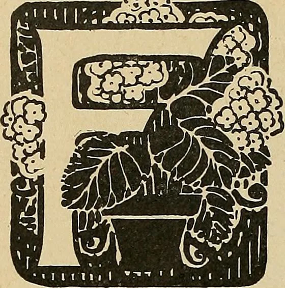 An illustration from Éléments de composition décorative; cent thêmes de décoration plane, 1912, leaf 77