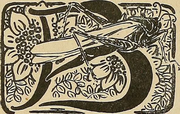 An illustration from Éléments de composition décorative; cent thêmes de décoration plane, 1912, leaf 87