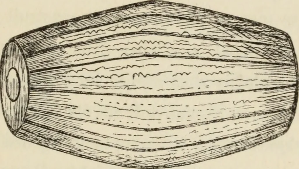 An illustration from Éléments d'épigraphie assyrienne : les écritures cunéiformes, exposé des travaux qui ont préparé la lecture et l'interprétation des inscriptions de la Perse et de l'Assyrie, 1864, leaf 208