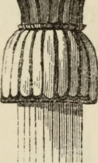 An illustration from Éléments d'épigraphie assyrienne : les écritures cunéiformes, exposé des travaux qui ont préparé la lecture et l'interprétation des inscriptions de la Perse et de l'Assyrie, 1864, leaf 46