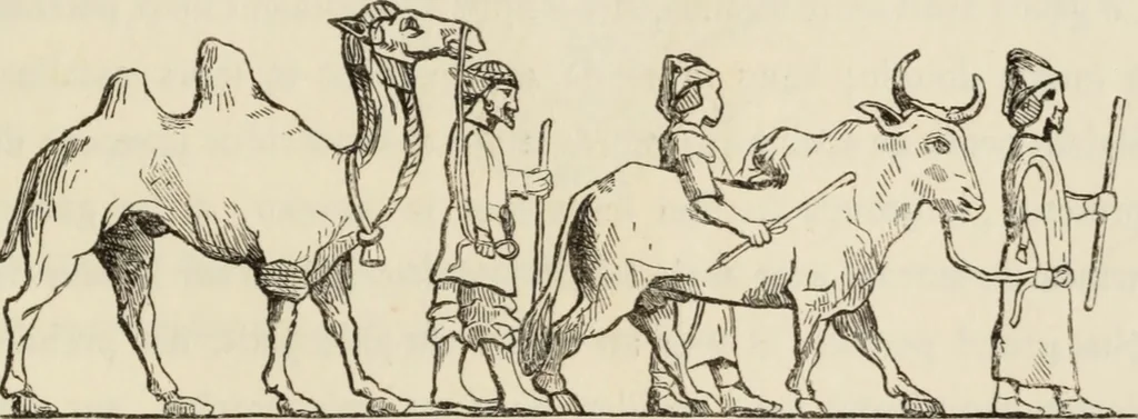 An illustration from Éléments d'épigraphie assyrienne : les écritures cunéiformes, exposé des travaux qui ont préparé la lecture et l'interprétation des inscriptions de la Perse et de l'Assyrie, 1864, leaf 48