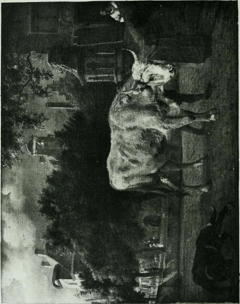 An illustration from Catalogue of a loan exhibition of paintings by old Dutch masters held at the Metropolitan Museum of Art in connection with the Hudson-Fulton celebration, September-November, MCMIX, 1910, leaf 223