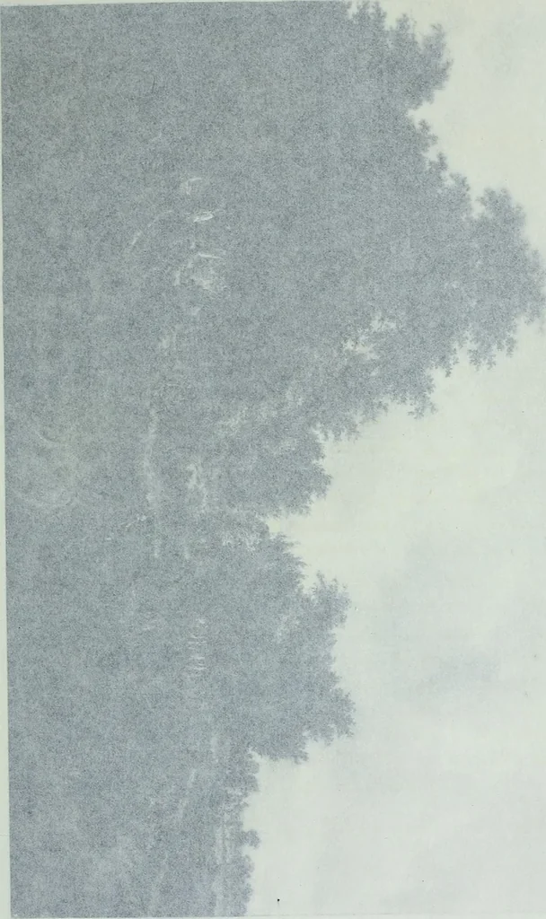 An illustration from Catalogue of a loan exhibition of paintings by old Dutch masters held at the Metropolitan Museum of Art in connection with the Hudson-Fulton celebration, September-November, MCMIX, 1910, leaf 236