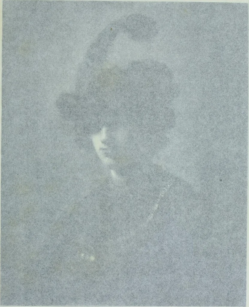 An illustration from Catalogue of a loan exhibition of paintings by old Dutch masters held at the Metropolitan Museum of Art in connection with the Hudson-Fulton celebration, September-November, MCMIX, 1910, leaf 370