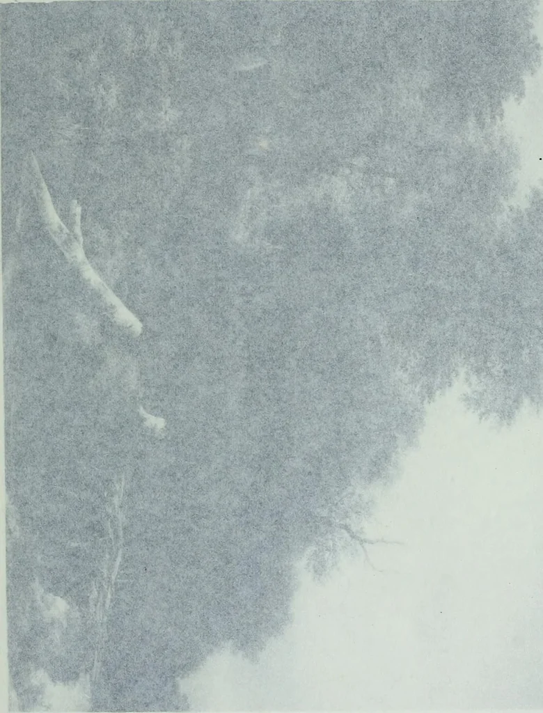 An illustration from Catalogue of a loan exhibition of paintings by old Dutch masters held at the Metropolitan Museum of Art in connection with the Hudson-Fulton celebration, September-November, MCMIX, 1910, leaf 580
