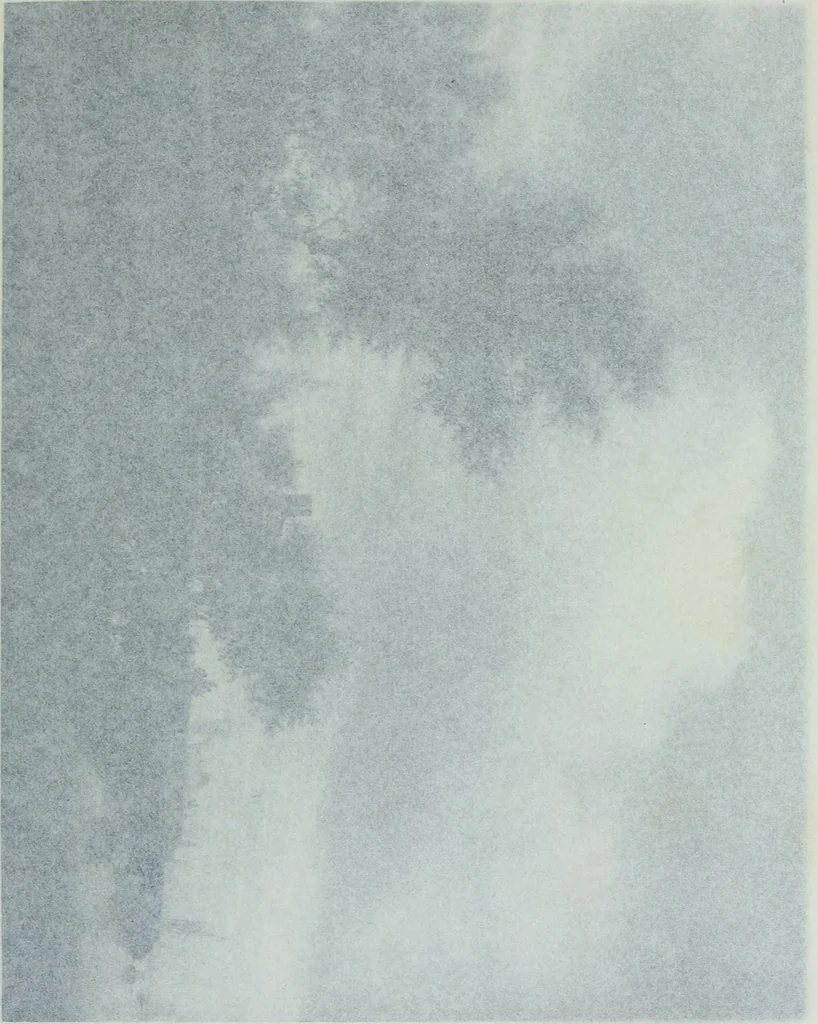 An illustration from Catalogue of a loan exhibition of paintings by old Dutch masters held at the Metropolitan Museum of Art in connection with the Hudson-Fulton celebration, September-November, MCMIX, 1910, leaf 608