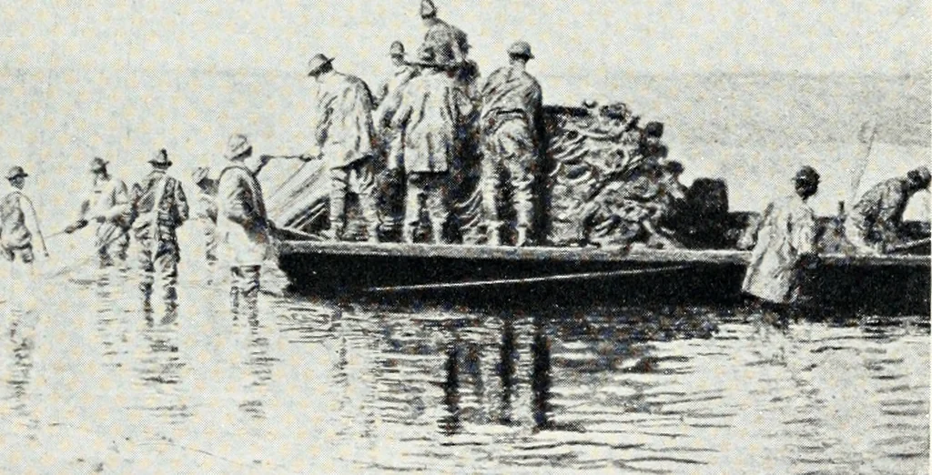 An illustration from Loan exhibition of the works of Thomas Eakins : New York, November 5 to December 3, MCMXVII, 1917, leaf 52
