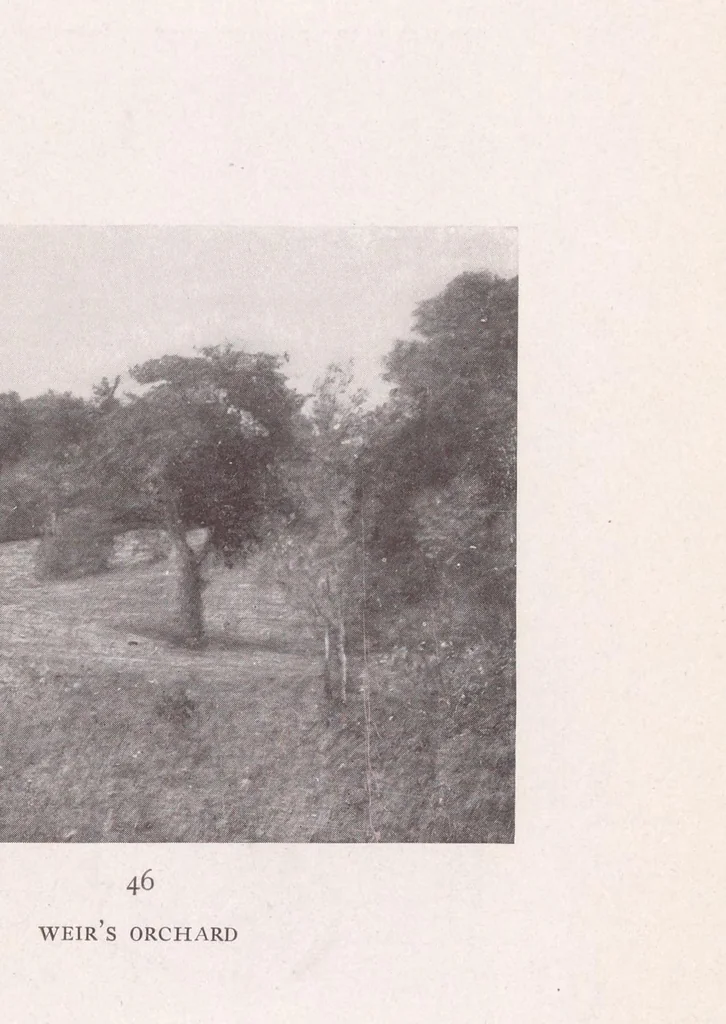 An illustration from Loan exhibition of the works of Albert P. Ryder, 1918, leaf 69