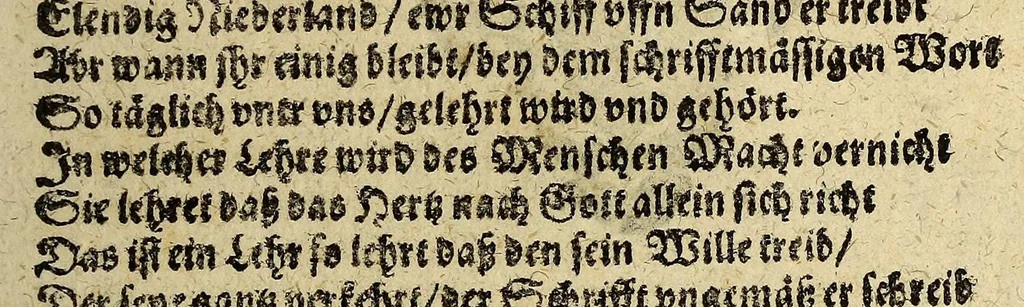 An illustration from Lobspruch vber die herrliche Victori. in Eroberung der Silberflotta, in dem Bay. Matanea, vnter dem Commando des e. vnnd manhafften Peter Peters Heyn, wie auch die Eroberung der zwo Galleonen, so auss Honduras kommen seyn. Zugeschrieben den Herrn Gewinthebbern der geoctroijrden vnd von Gott gesegneten West Indianischen Compagny, 1629, leaf 19