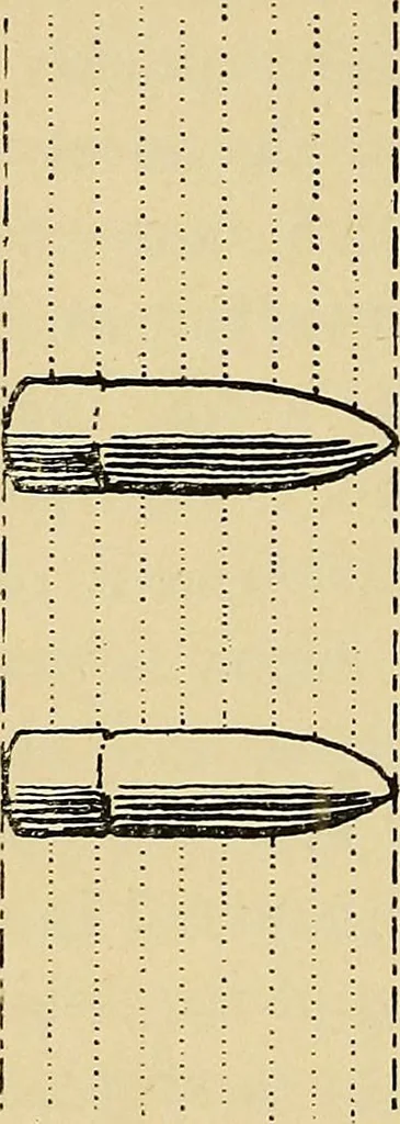 An illustration from Localization by X-rays and stereoscopy, 1916, leaf 67