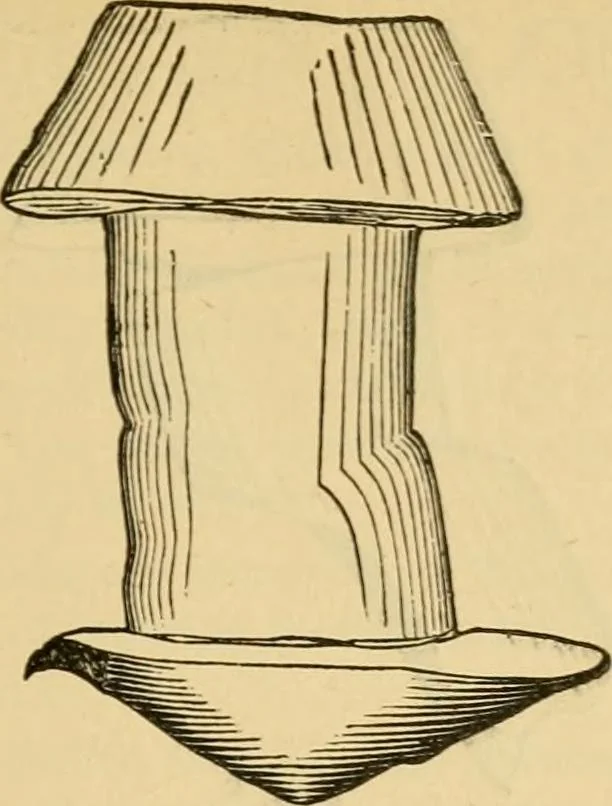An illustration from The Locomotive, 1867, leaf 30
