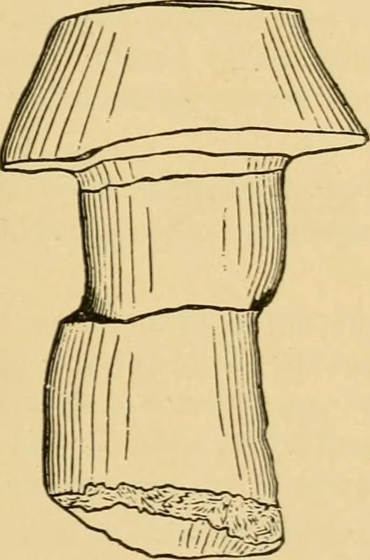 An illustration from The Locomotive, 1867, leaf 30