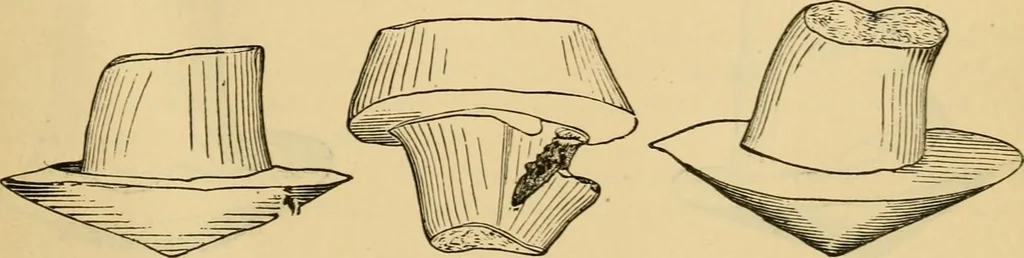 An illustration from The Locomotive, 1867, leaf 30