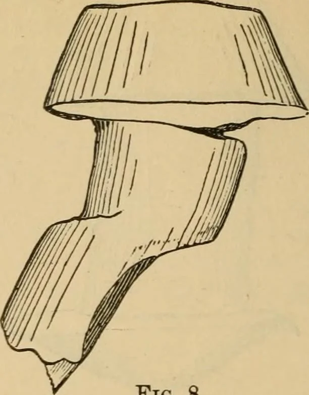 An illustration from The Locomotive, 1867, leaf 31