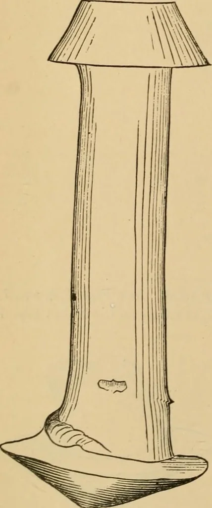 An illustration from The Locomotive, 1867, leaf 31