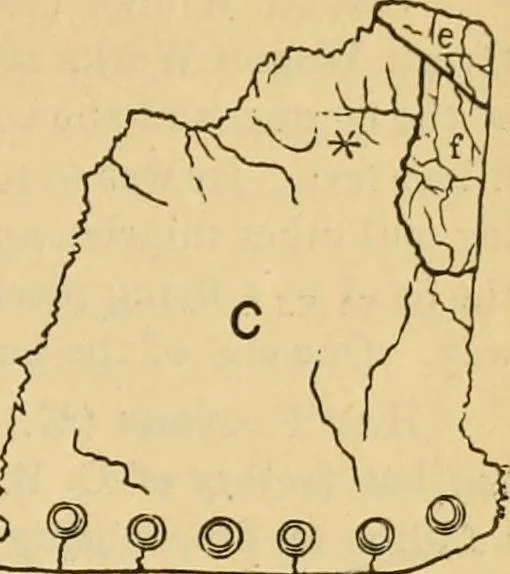 An illustration from The Locomotive, 1867, leaf 50