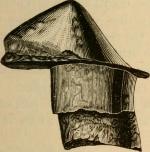 An illustration from The Locomotive, 1867, leaf 110