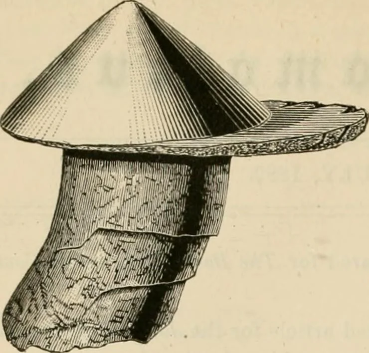 An illustration from The Locomotive, 1867, leaf 111