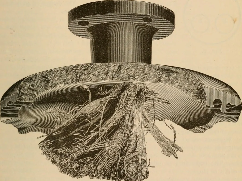 An illustration from The Locomotive, 1867, leaf 136