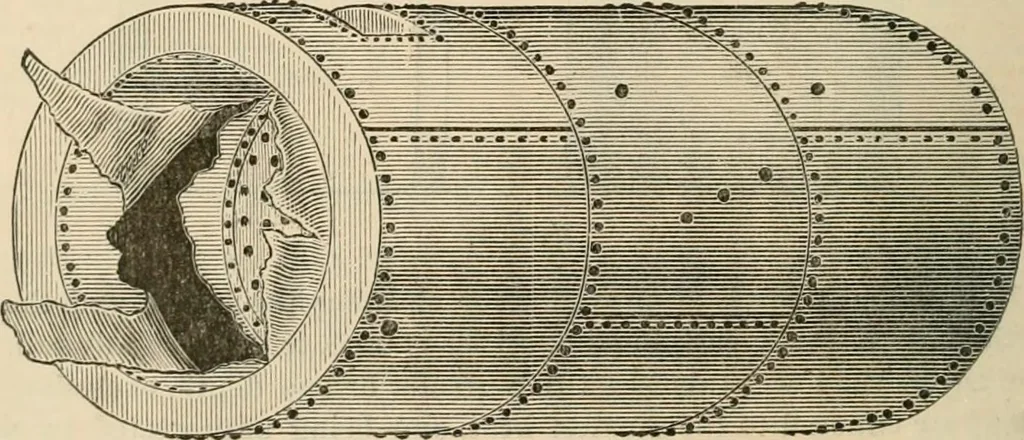 An illustration from The Locomotive, 1867, leaf 169