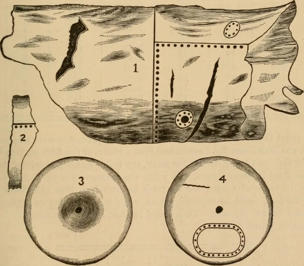 An illustration from The Locomotive, 1867, leaf 56