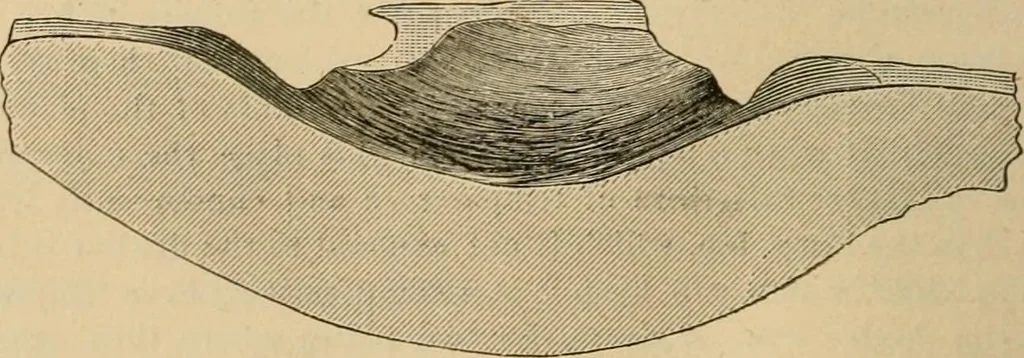 An illustration from The Locomotive, 1867, leaf 165