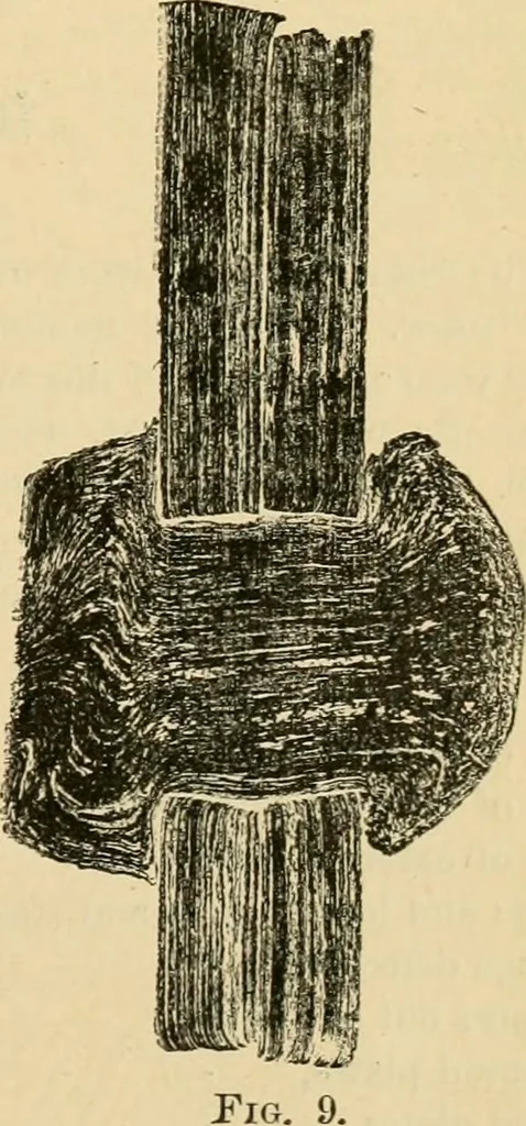 An illustration from The Locomotive, 1867, leaf 26