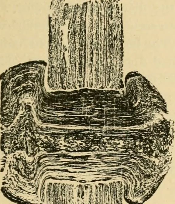 An illustration from The Locomotive, 1867, leaf 26