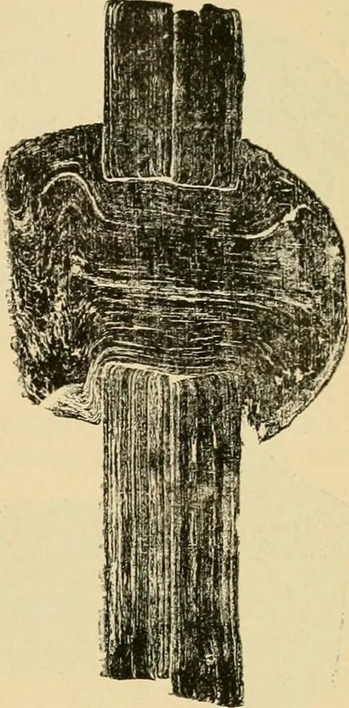 An illustration from The Locomotive, 1867, leaf 26