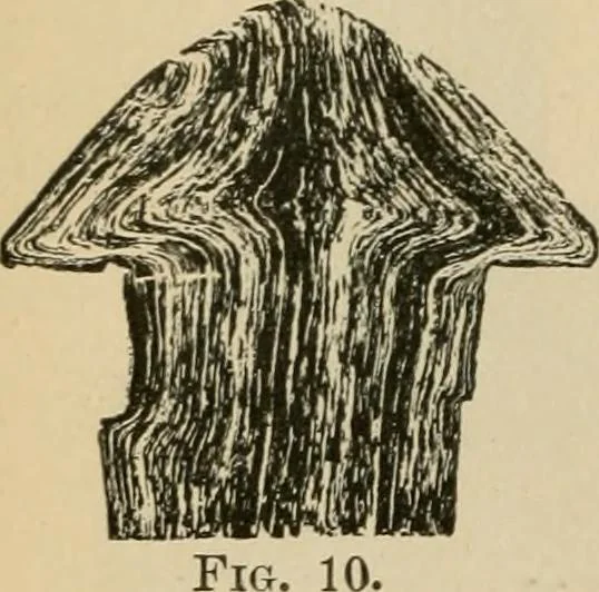 An illustration from The Locomotive, 1867, leaf 27